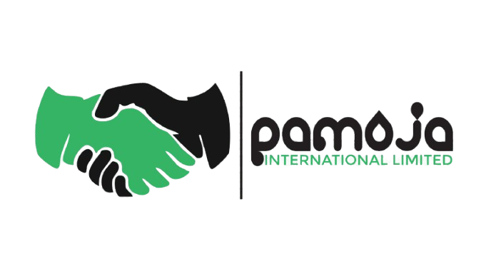 Pamoja Internatinal
